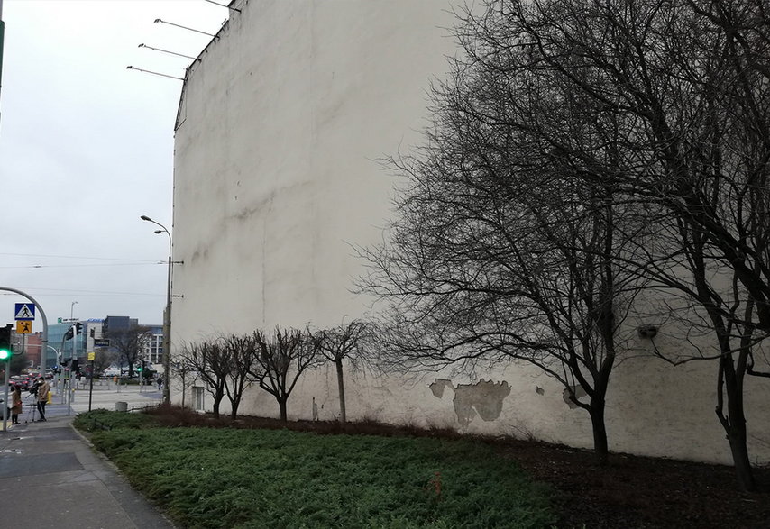 Poznań: obcięli drzewa, żeby odsłonić nielegalną reklamę 