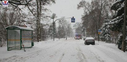 Makabra na pasach tuż przy szkole. Kierowca busa potrącił 14-latkę. Dziewczynka wpadła pod kolejne auto