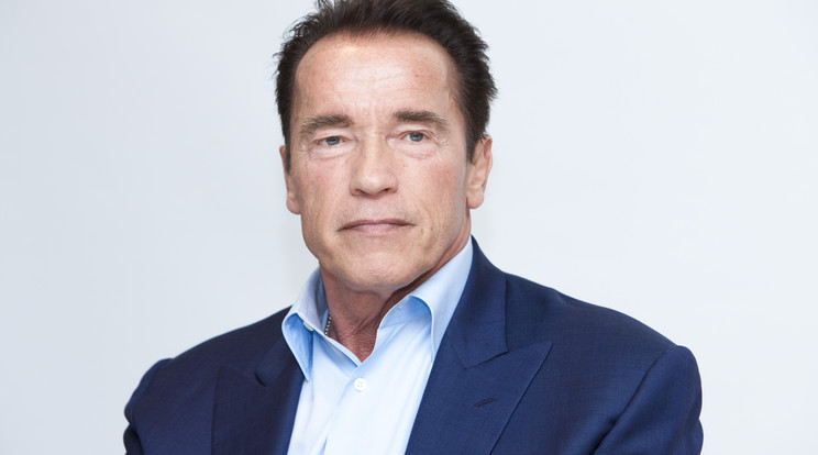 Ma lett 74 éves az Osztrák tölgy: Ön mennyire ismeri Schwarzenegger munkásságát? / Fotó: Northfoto