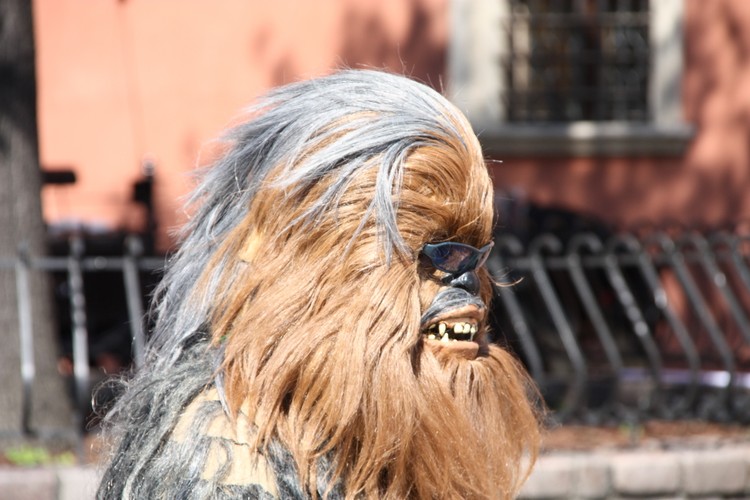 Chewbacca