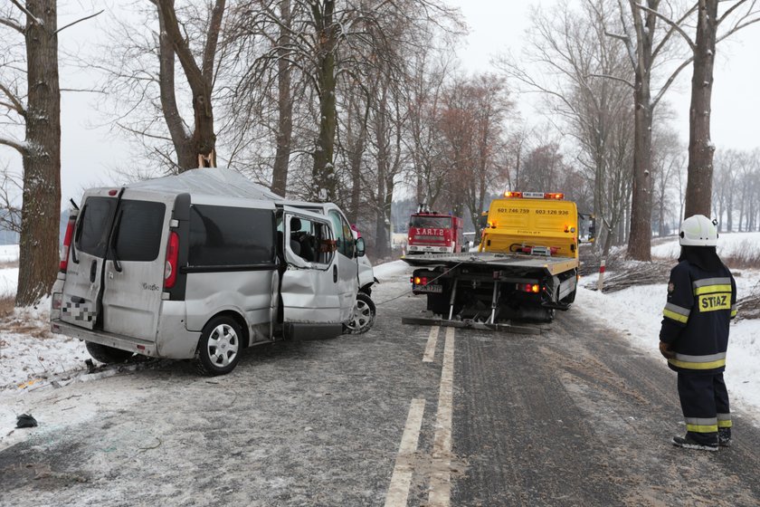 Bus roztrzaskał się o drzewo. Zginął człowiek