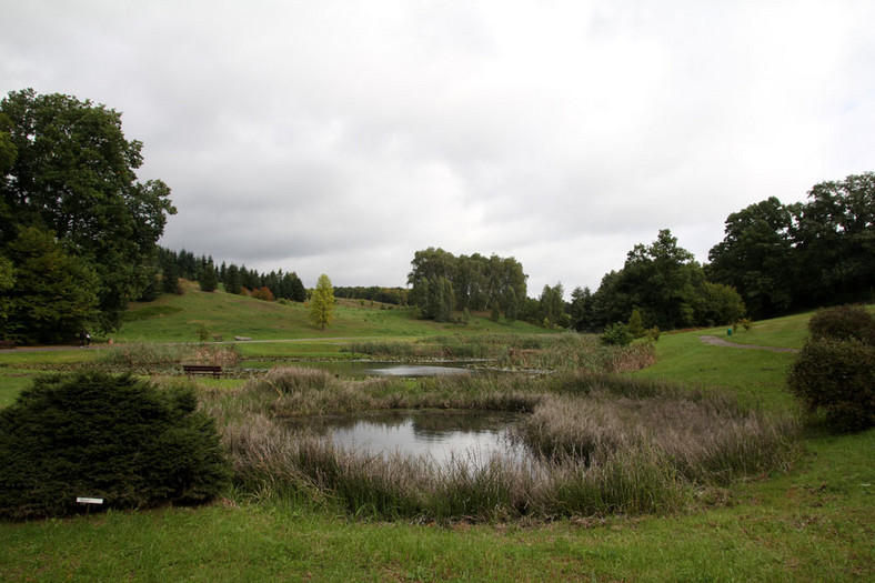 Bydgoszcz atrakcje, Myślęcinek - Ogród Botaniczny