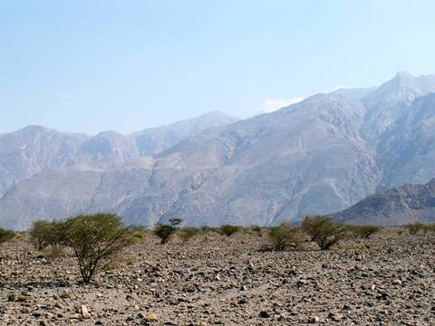 Galeria Oman - pustynne królestwo, obrazek 17