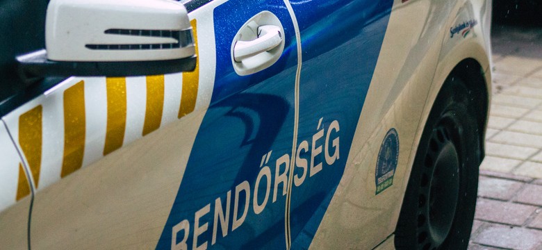 Chciał "przyćmić Breivika". Aresztowano Norwega, który planował masowe zabójstwa