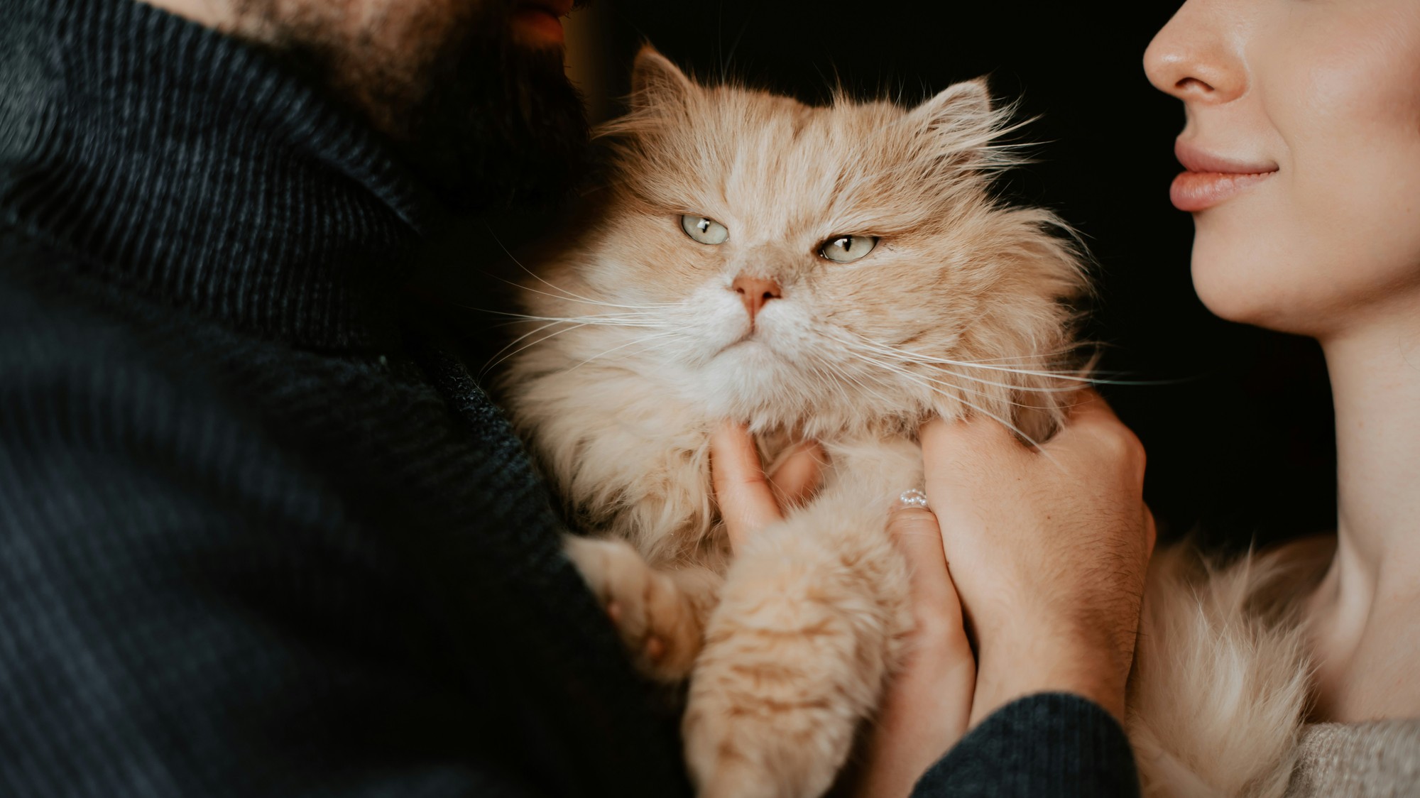Poskytnutím bezpečného prostredia môžeme výrazne zvýšiť šance na dlhý život.