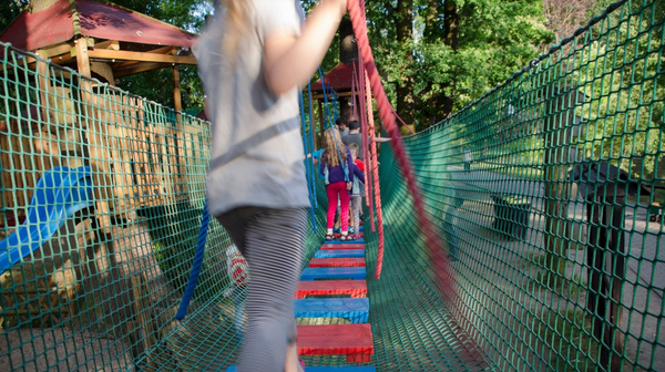 Park linowy w zoo to świetna zabawa dla małych i dużych