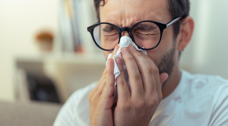 Ezt teheted az allergia ellen. Fotó: Getty Images