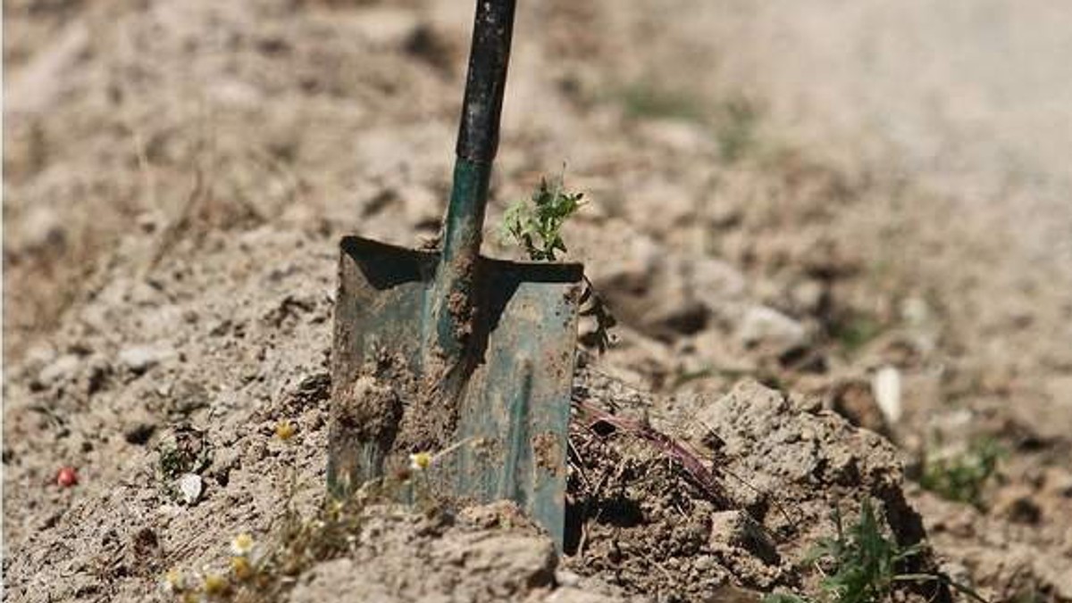 Służby zabezpieczają dwa osuwiska w powiecie strzyżowskim - w Żyznowie i Żarnowej. W związku z trwającymi pracami zamknięta została droga powiatowa w Żarnowej.