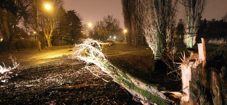 O włos od tragedii. Huragan zepchnął autobus z drogi