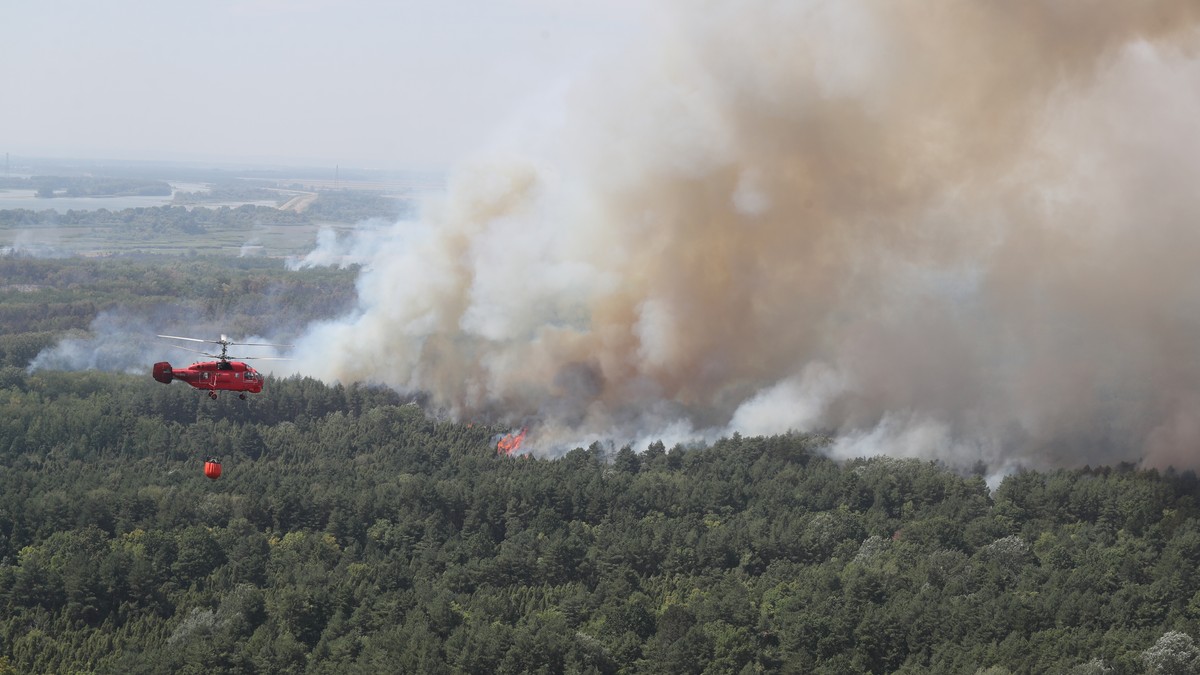 Deliblatska peščara