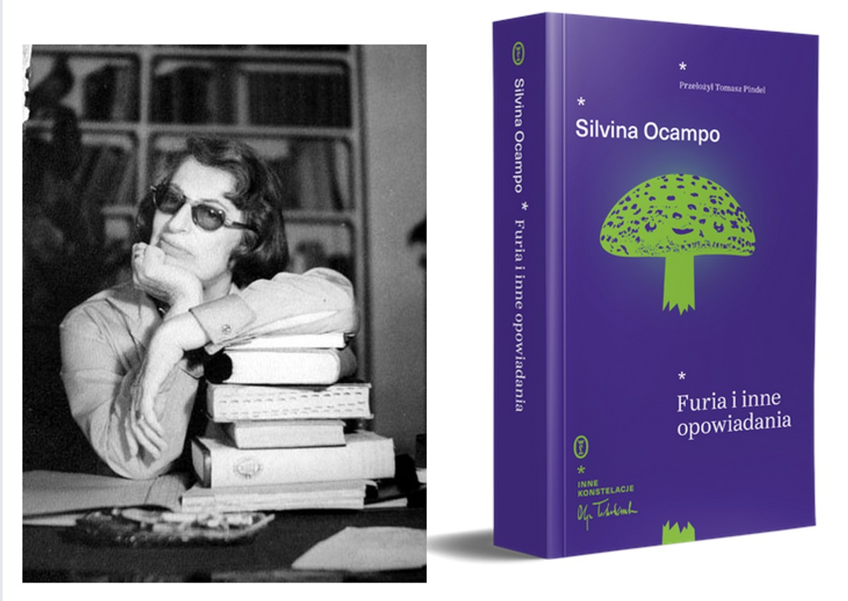 Silvina Ocampo, Furia i inne opowiadania