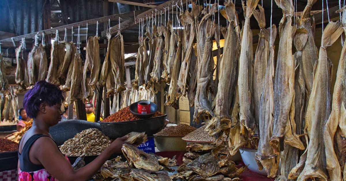 Norwegian Seafood Council hails FG for delisting stockfish from FX ban - Vimarsana News