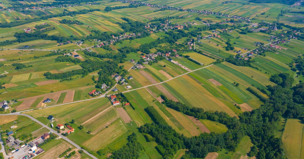 Warto oddać unijną wspólną politykę rolną w ręce regionów