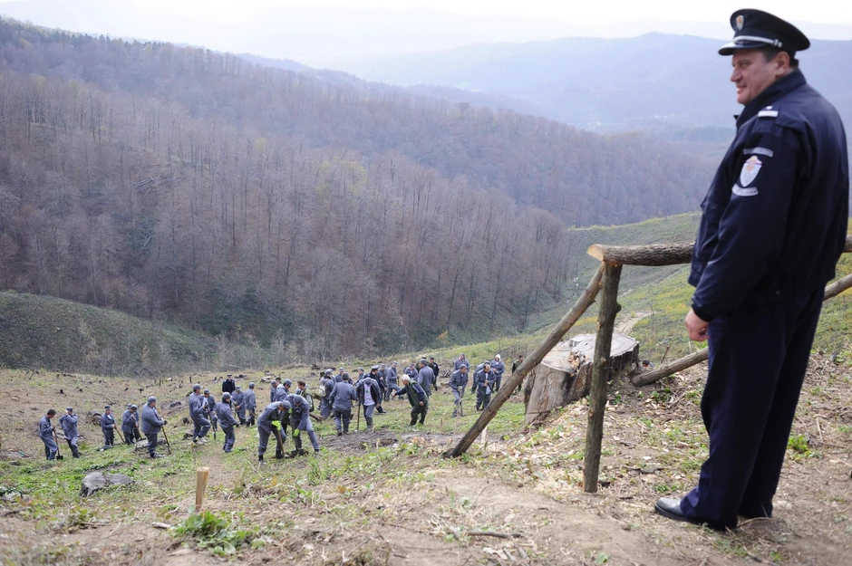 Akcija pošumljavanja planine Cer