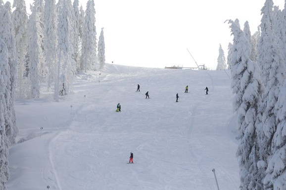 TRAGEDIJA U RUSIJI Lavina zatrpala planinare, ima mrtvih