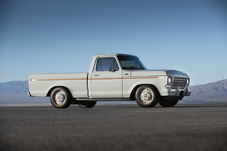 Ford F100 Eluminator