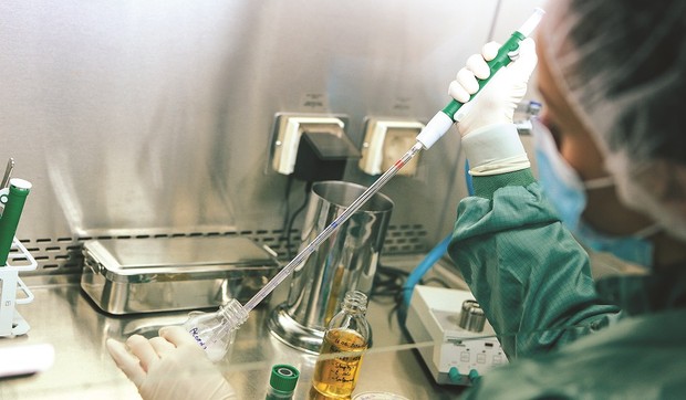 Alkaloid proizvodnja