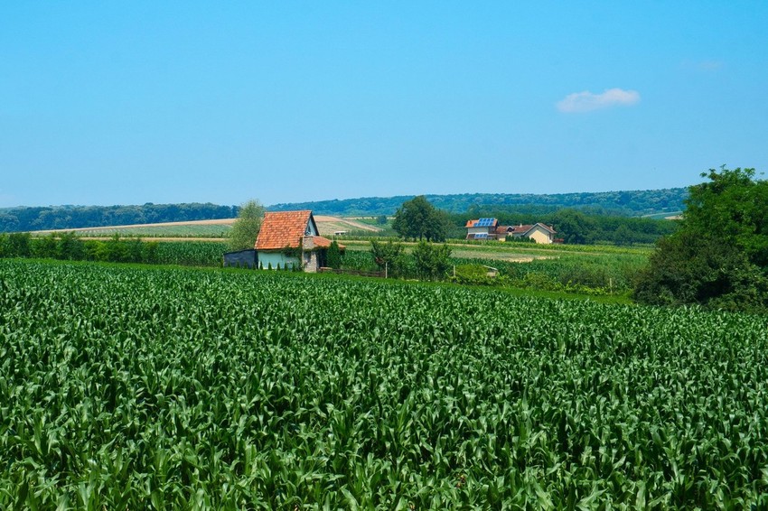 Poljoprivredni proizvođači su nastavili da rade svoj posao i tokom pandemije