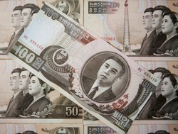 Ponura koreańska rzeczywistość: kupony zamiast pieniędzy, brak żywności i czarne łabędzie na mięso