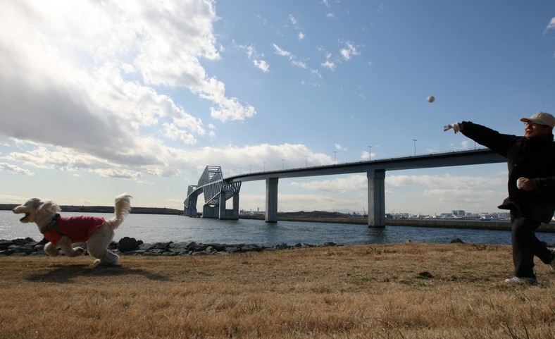 Nowy symbol Tokio - Tokyo Gate Bridge - ma 2618 metrów długości (5). Fot. Tomohiro Ohsumi/Bloomberg.