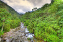 Park Narodowy Manú, Peru