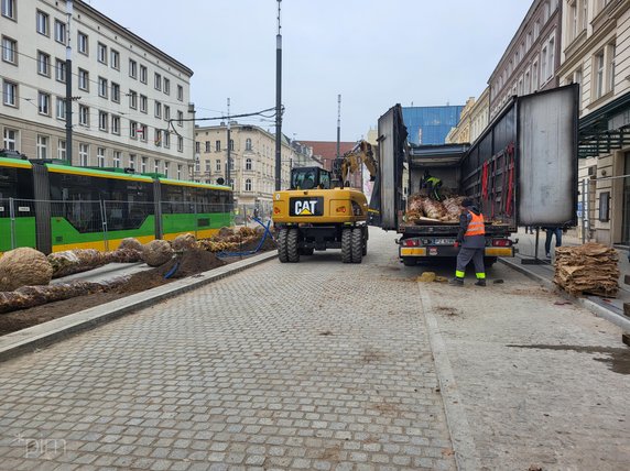 Na Al. Marcinkowskiego dotarł pierwszy transport nowych drzwi fot. PIM