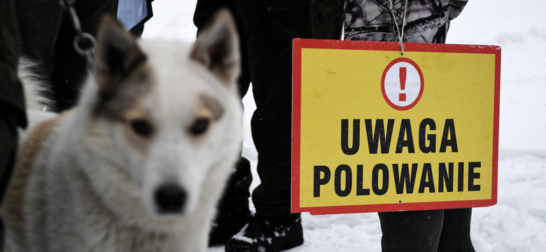 Myśliwi mają swoje święto. Od lat ich w Polsce przybywa, choć wielu by chciało, aby zniknęli