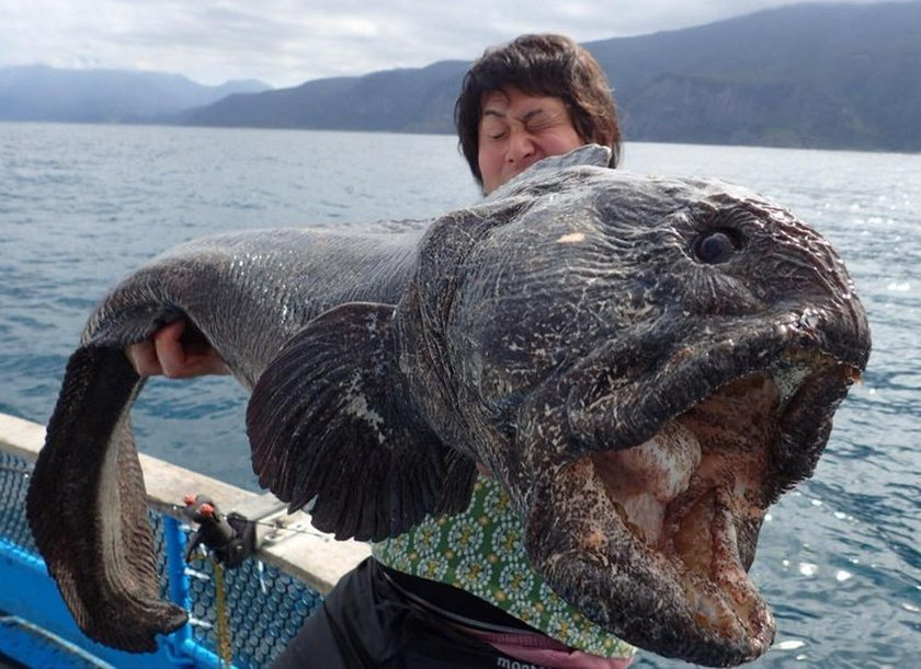 Nietypowe znalezisko japońskiego rybaka