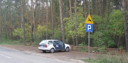 Zbudowali parking leśny