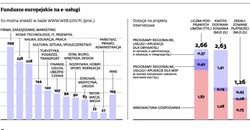 Trudny start w e-biznesie. Nawet najlepszy pomysł może okazać się plajtą