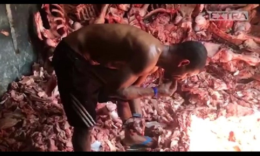 Kriza gladi u Brazilu - ljudi kopaju po životinjskim ostacima