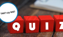 Bardzo szybki QUIZ z wiedzy ogólnej. Odpowiadasz tylko "tak" lub "nie"