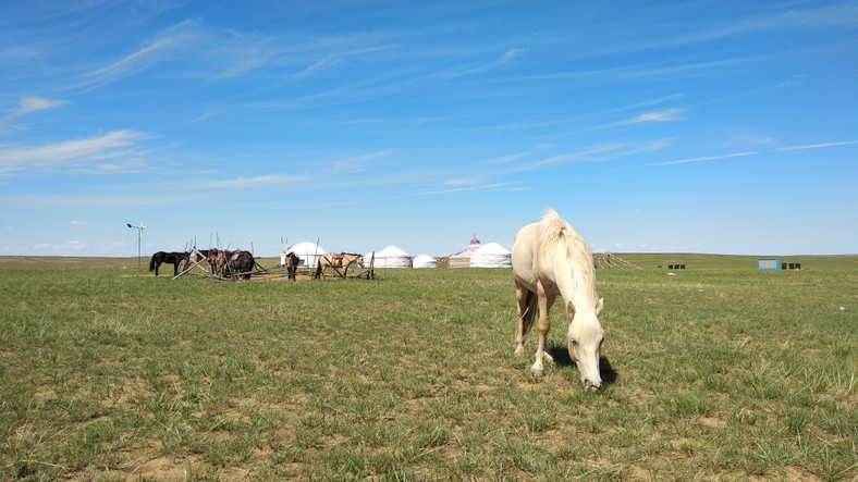 Stepy w Mongolii Wewnętrznej