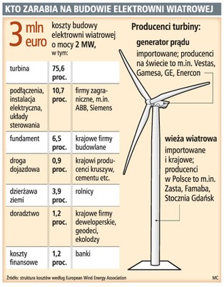Polskie firmy nie potrafią zarabiać na budowie farm wiatrowych