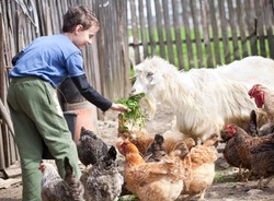 Dzieci ze wsi nie mają alergii
