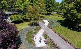 Zielony Budżet Obywatelski. W Katowicach mamy 121 zwycięskich projektów