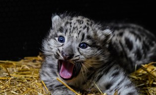 Podróż w czasie po wrocławskim zoo
