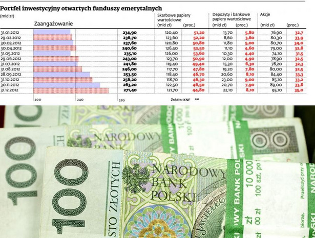 Portfel inwestycyjny otwartych funduszy emerytalnych