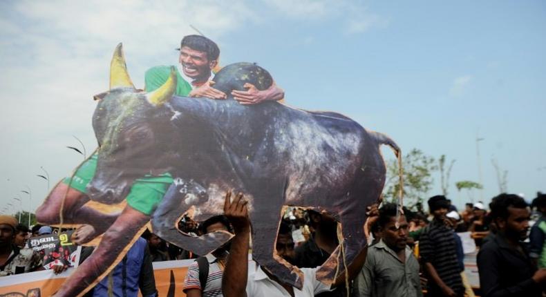 People shout slogans and hold placards during a demonstration against the ban on the Jallikattu bull taming ritual, and calling for a ban on animal rights organisation PETA, in Chennai on January 19, 2017