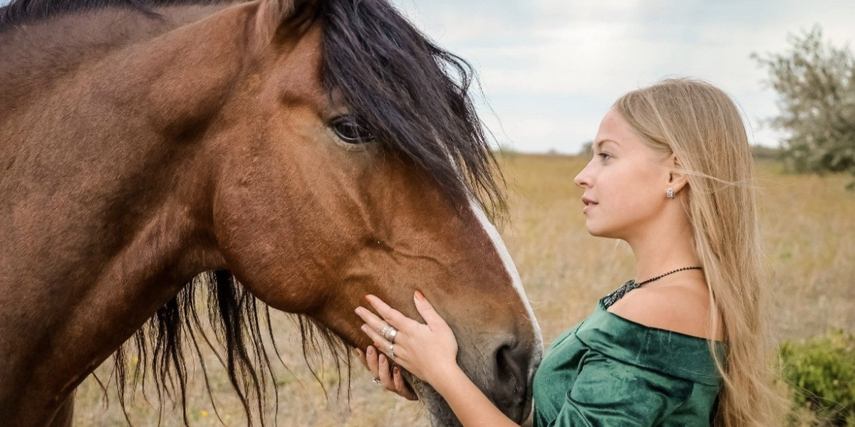 Marina chce sprowadzić swojego konia z Ukrainy.