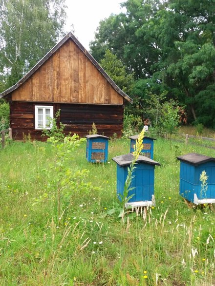 Skansen w Wolsztynie