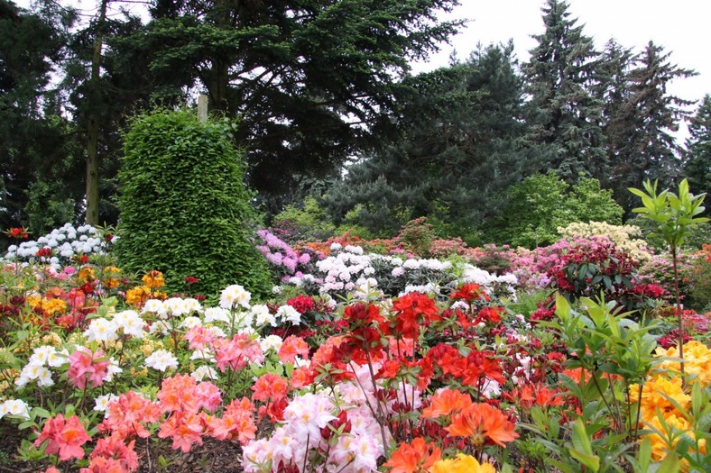 Arboretum Kórnickie