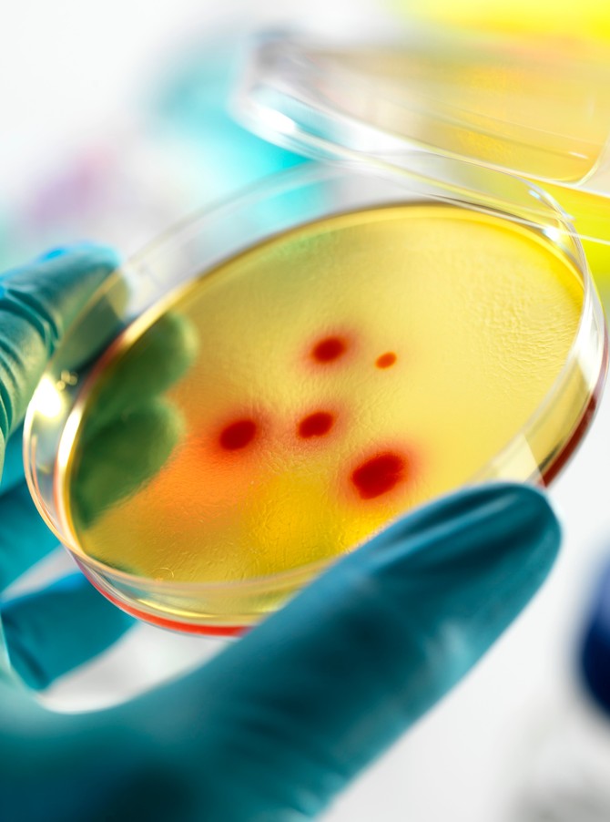 Rezistentna bakterija se lakše širi od osobe do osobe ako se antibiotici upotrebljavaju previše