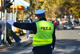 Jak czytać gesty policjantów drogówki?