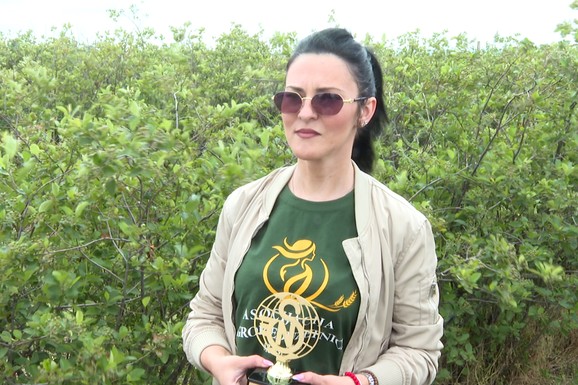 Mrzela je poljoprivredu, a danas vodi nagrađivani porodični biznis! Kako je aronija promenila život jedne porodice iz Kličevca: "Suprug i ja sve sami radimo" (VIDEO)