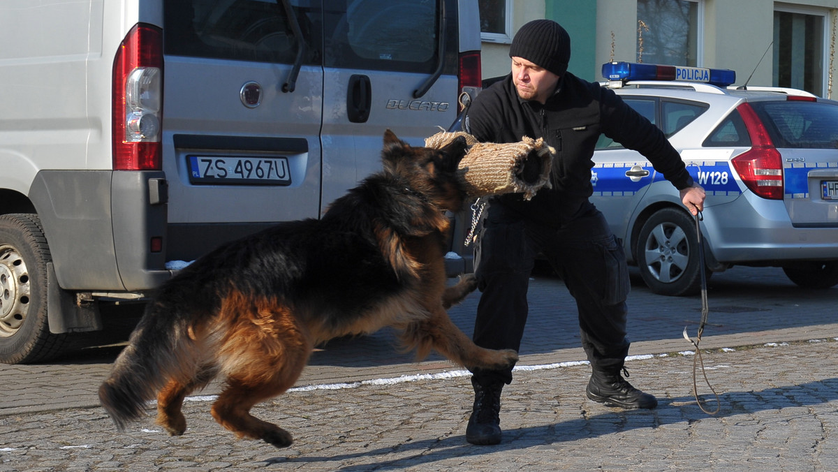 Uroczyste pożegnanie zorganizowano Brutusowi, owczarkowi niemieckiemu, który przeszedł na "emeryturę". Pies-funkjonariusz pracował w Wydziale Prewencji Komendy Miejskiej Policji w Szczecinie dziesięć lat.