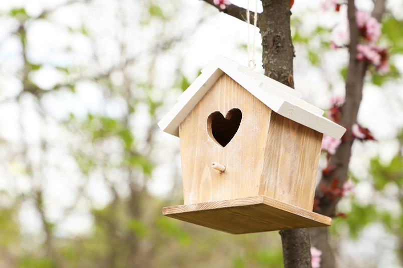 Chociaż otwór wlotowy w kształcie serce wygląda uroczo, naraża ptaki na zranienie.