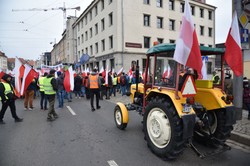 Wsparcie dla polskiej wsi. "Bruksela będzie pod coraz większą presją"