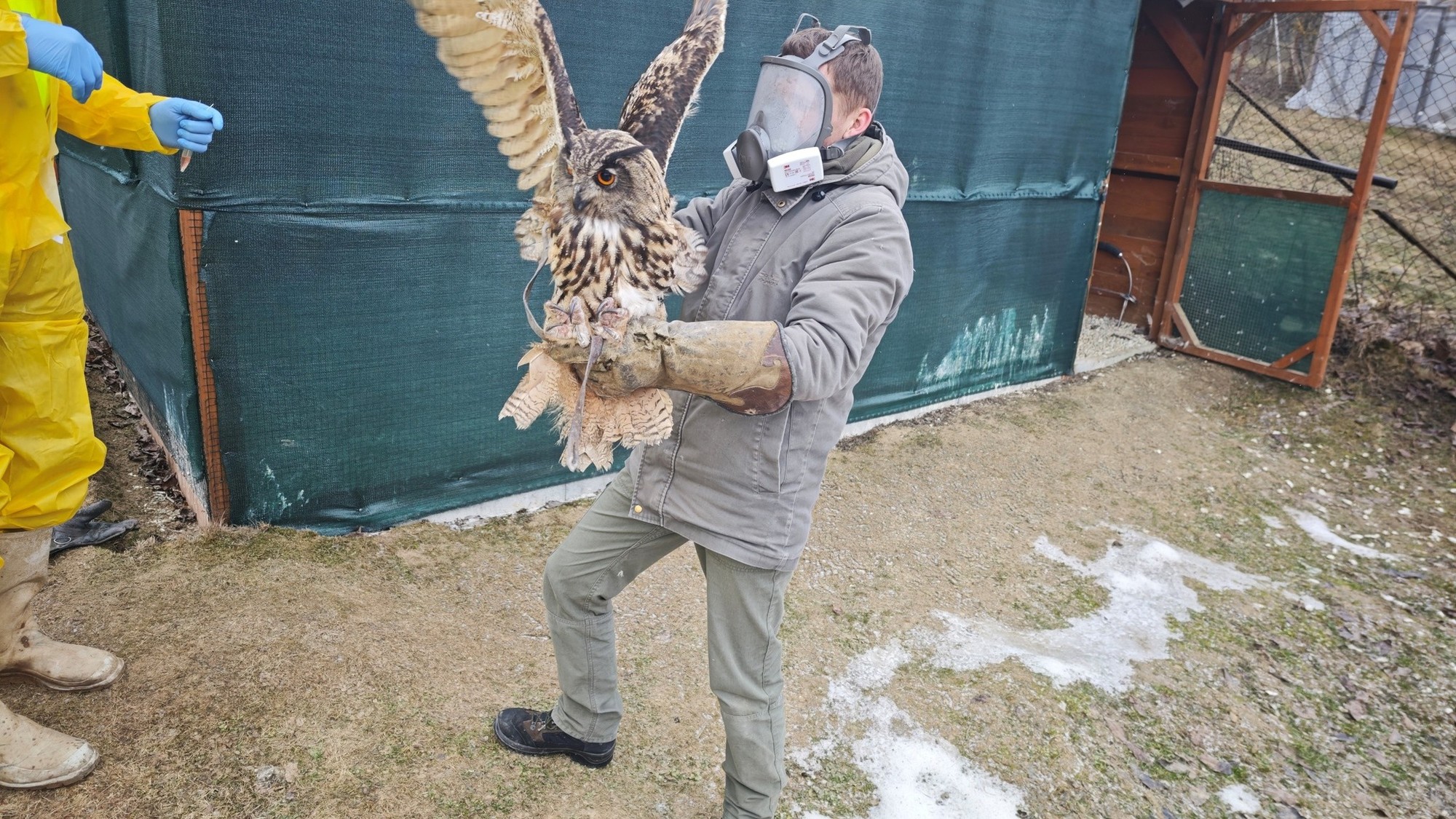U vtákov chovaných v zajatí v obci Klenov potvrdili vírus vtáčej chrípky. 