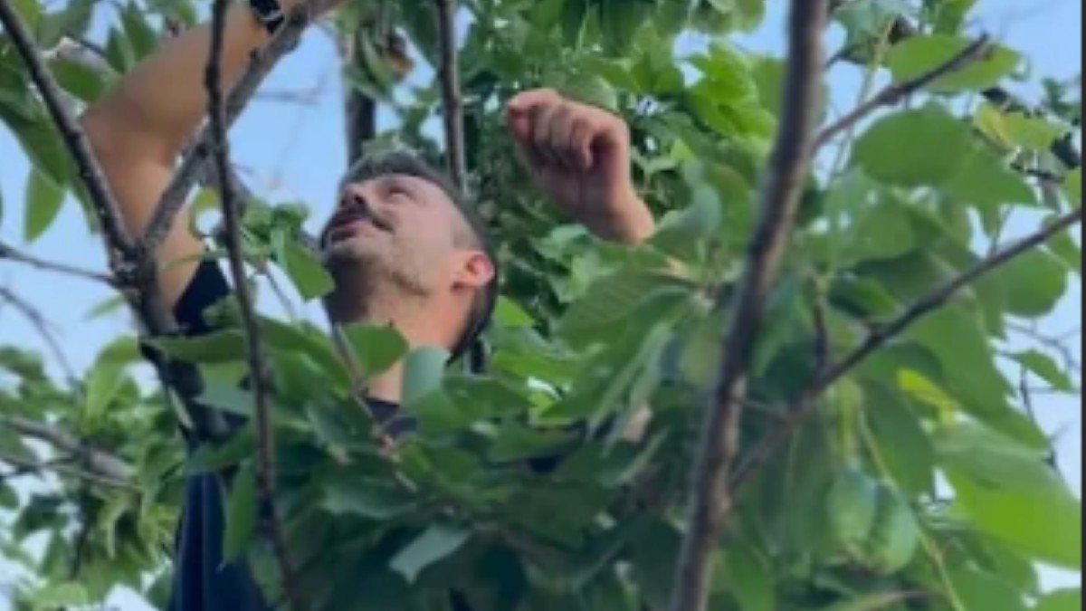 Milan Vasić, objava